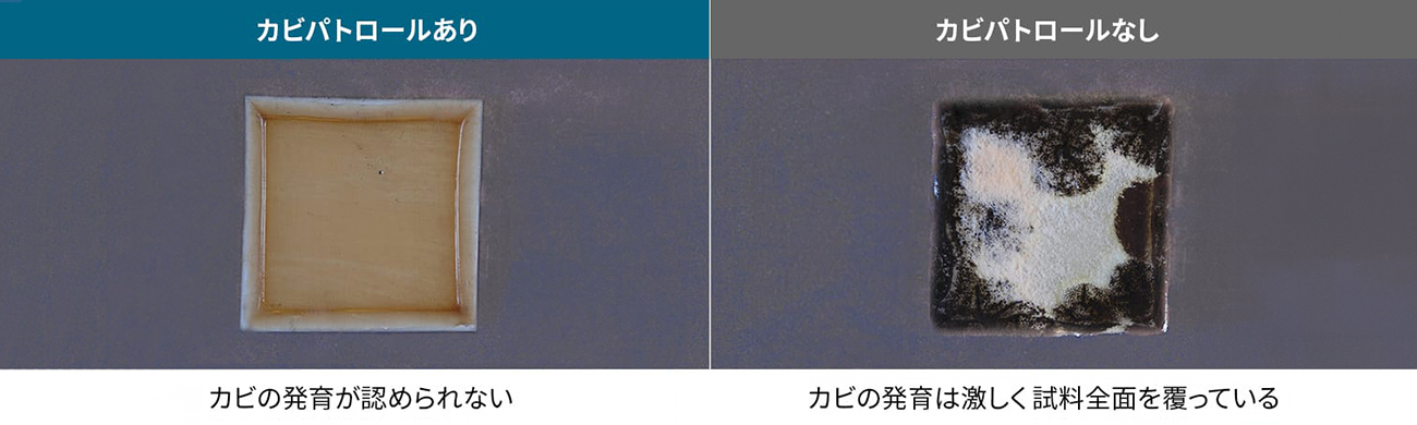 SHARP FEシリーズ カビパトロール